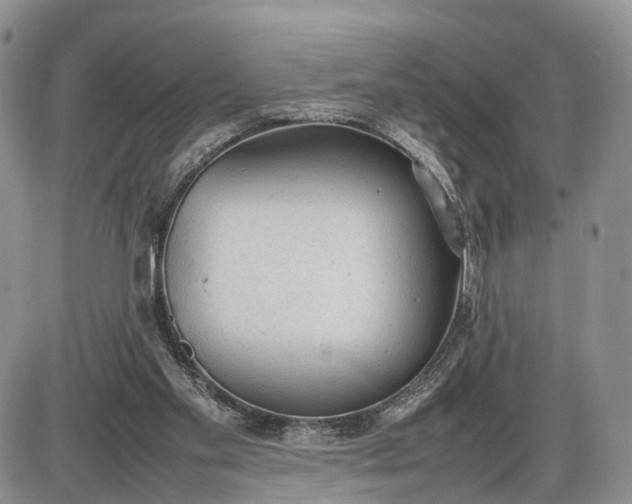 X0000085010109200703191126