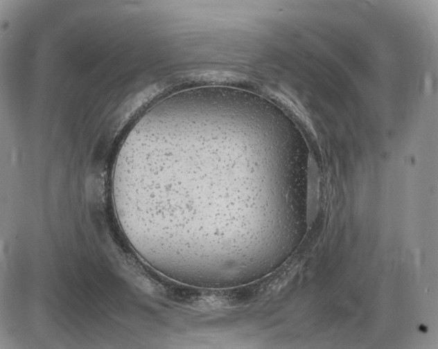 X0000085010111200703191125