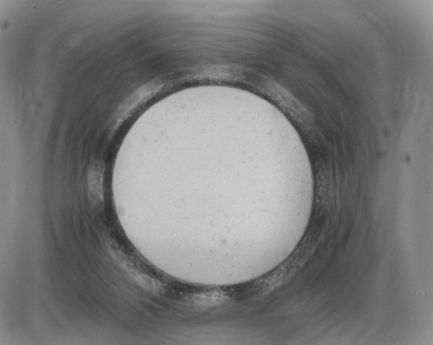 X0000085010112200703191125