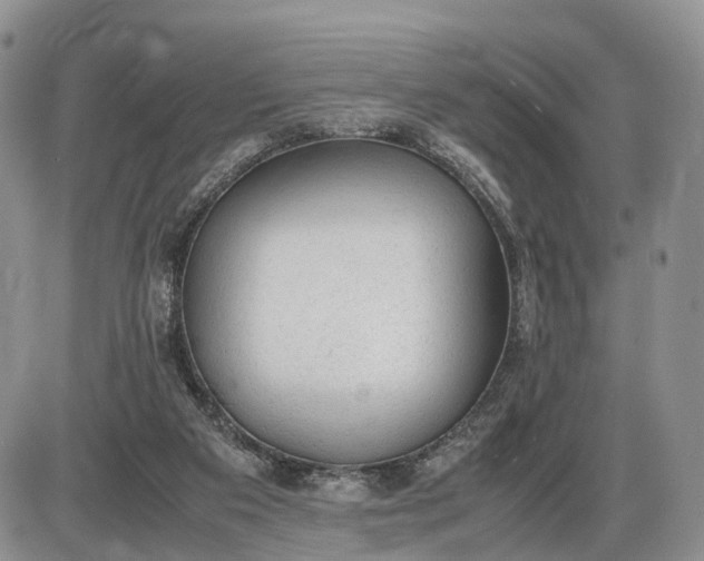 X0000085010113200703191125