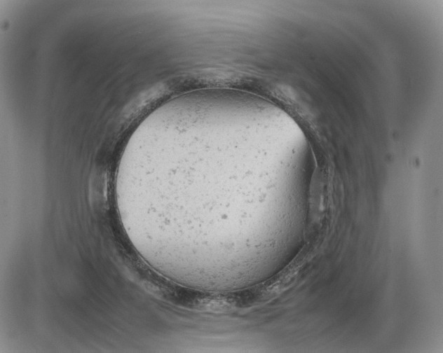 X0000085010115200703191125