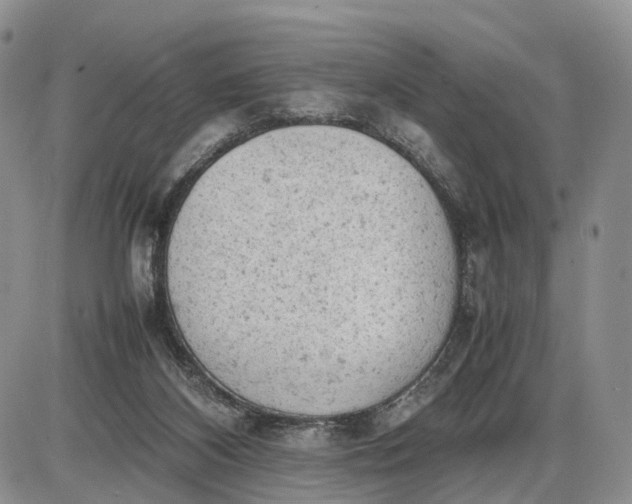 X0000085010116200703191125