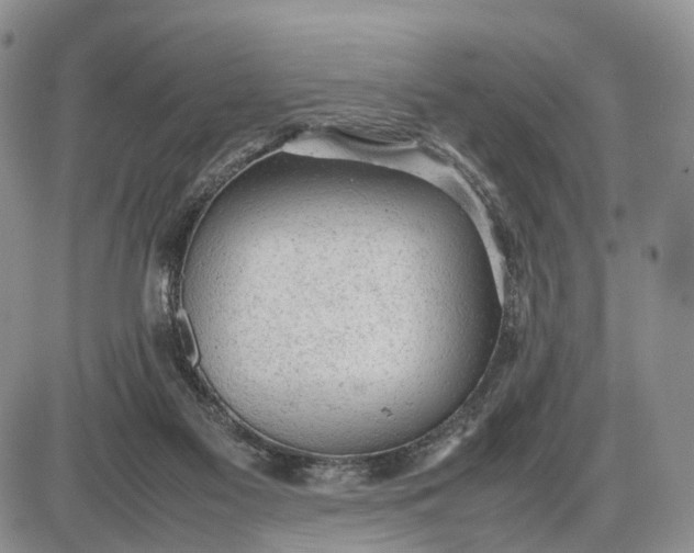 X0000085010117200703191125