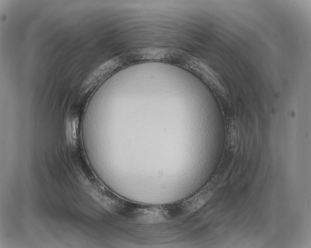 X0000085010118200703191125