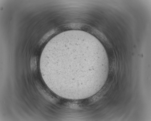 X0000085010120200703191125