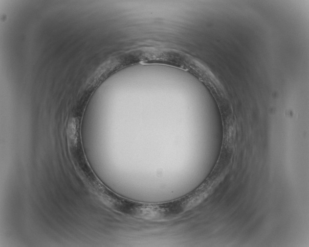 X0000085010121200703191125