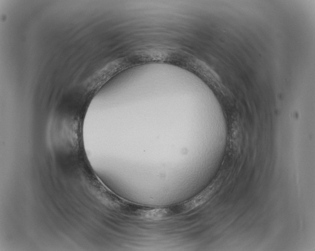 X0000085010122200703191125