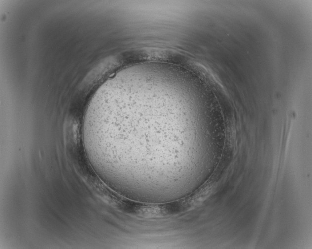 X0000085010123200703191125