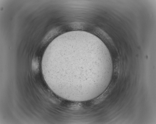 X0000085010124200703191125