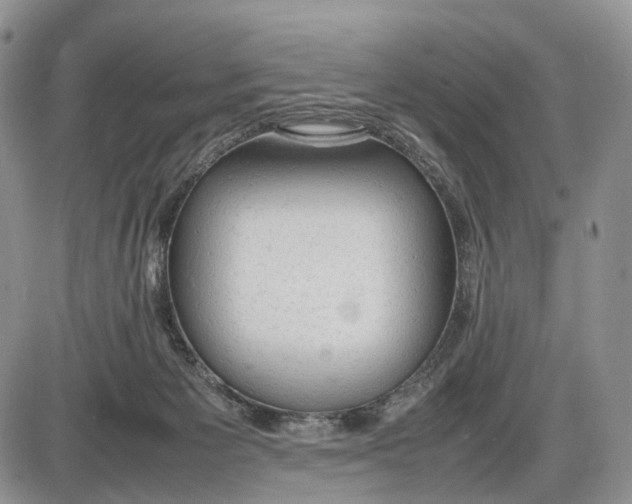 X0000085010125200703191125