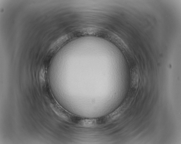 X0000085010126200703191125