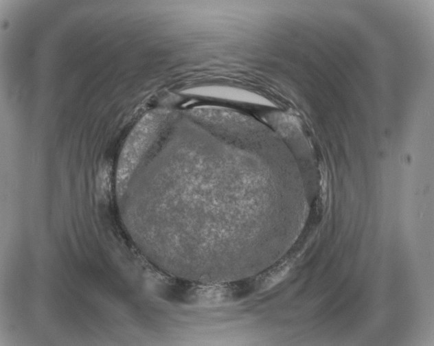 X0000085010127200703191125