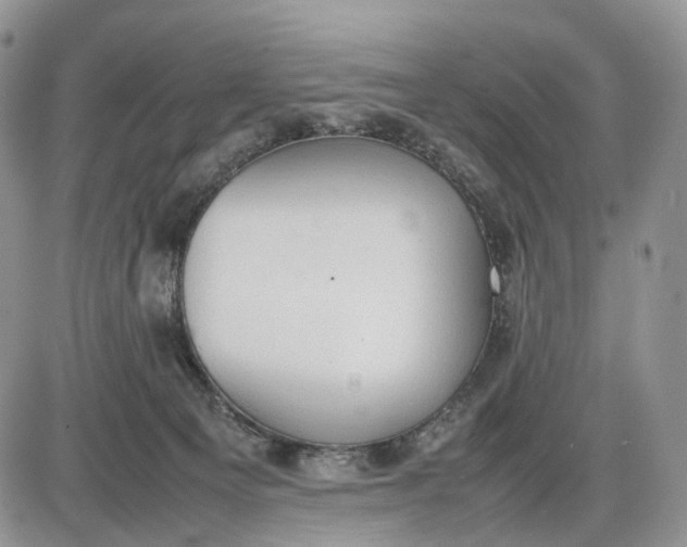 X0000085010129200703191125