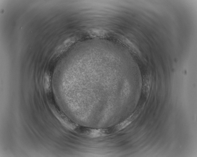 X0000085010130200703191125