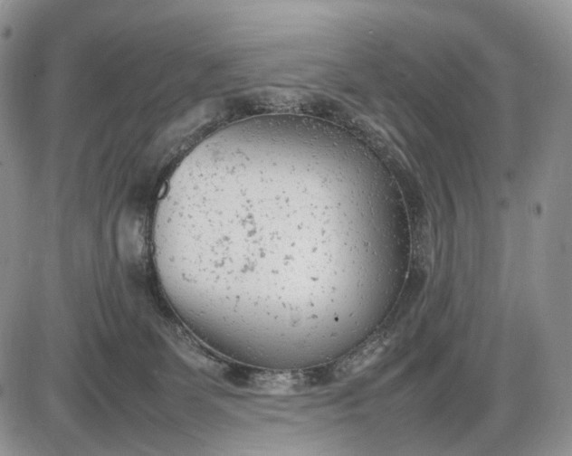 X0000085010131200703191125