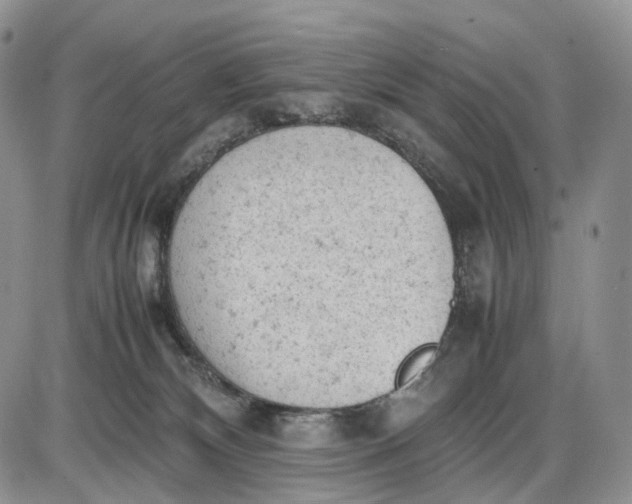 X0000085010132200703191125