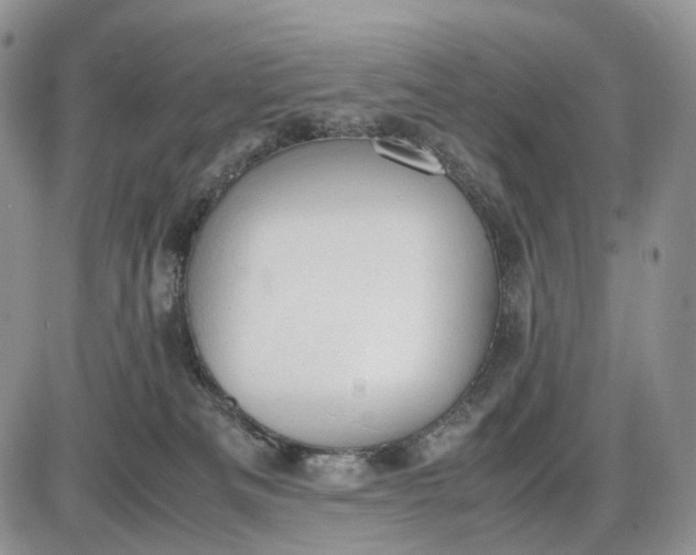 X0000085010133200703191125