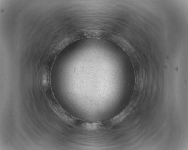 X0000085010134200703191125