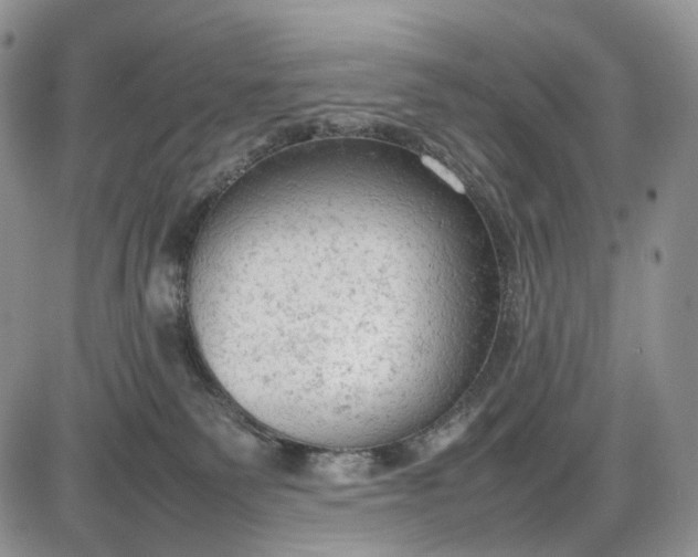 X0000085010135200703191125