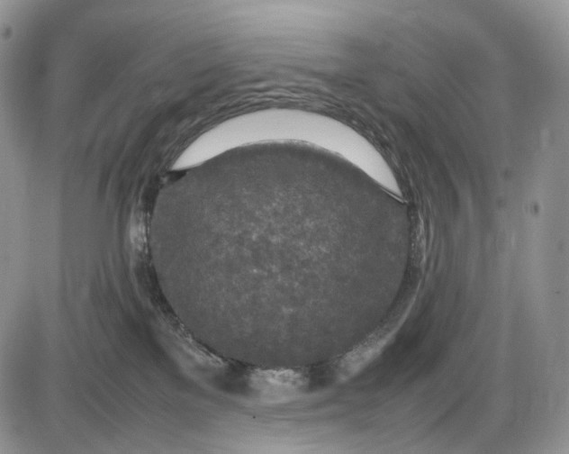 X0000085010137200703191125