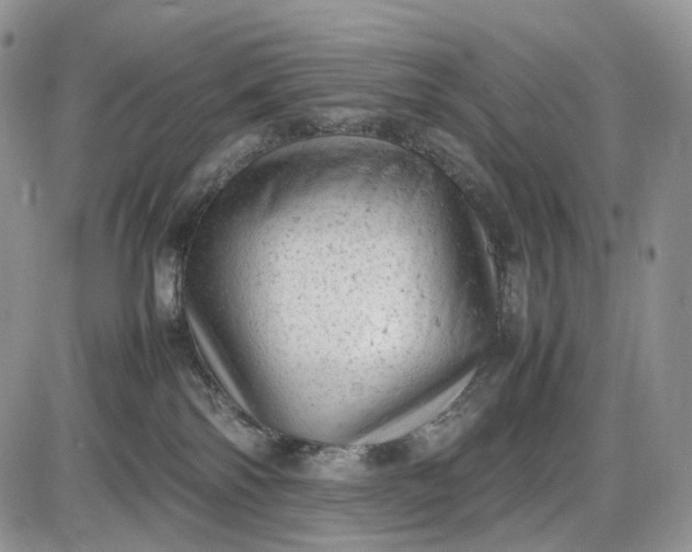 X0000085010138200703191125