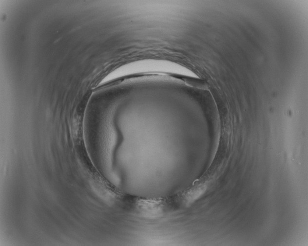 X0000085010139200703191125