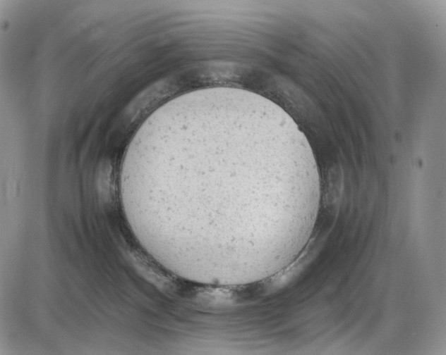 X0000085010140200703191125