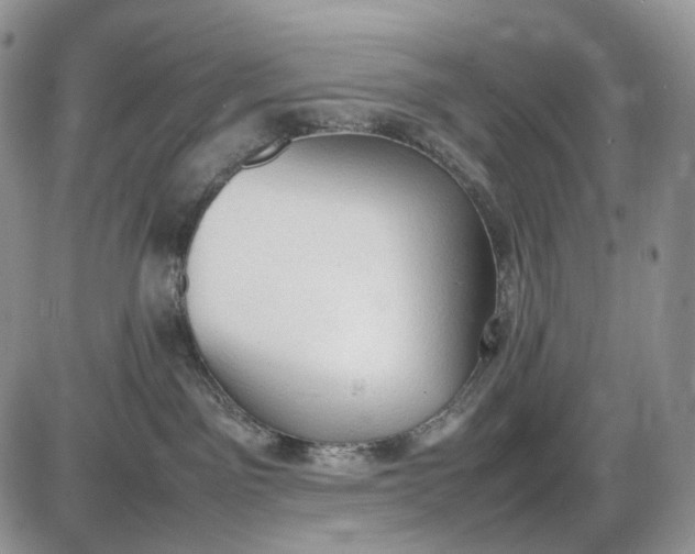 X0000085010141200703191125