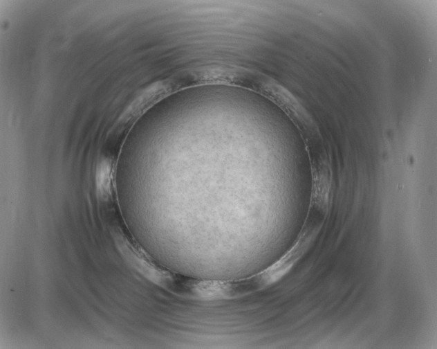 X0000085010142200703191125