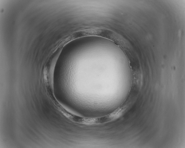 X0000085010143200703191125