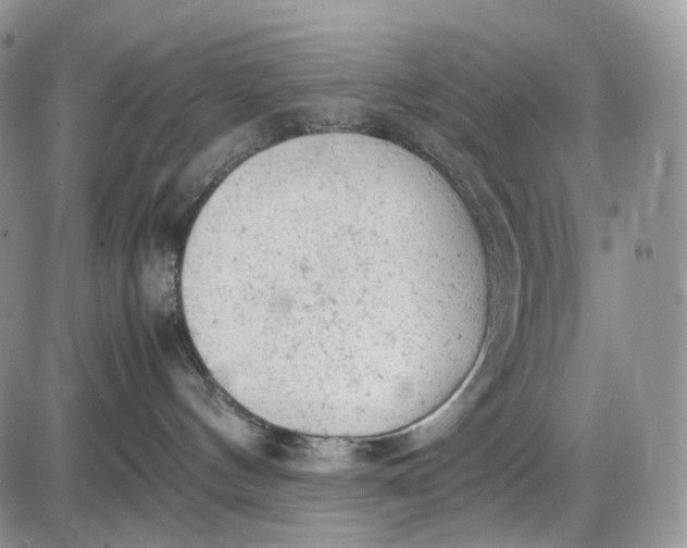 X0000085010144200703191125