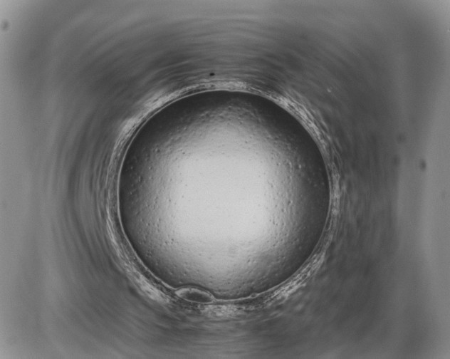 X0000085010145200703191124