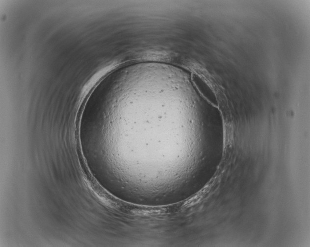 X0000085010147200703191124