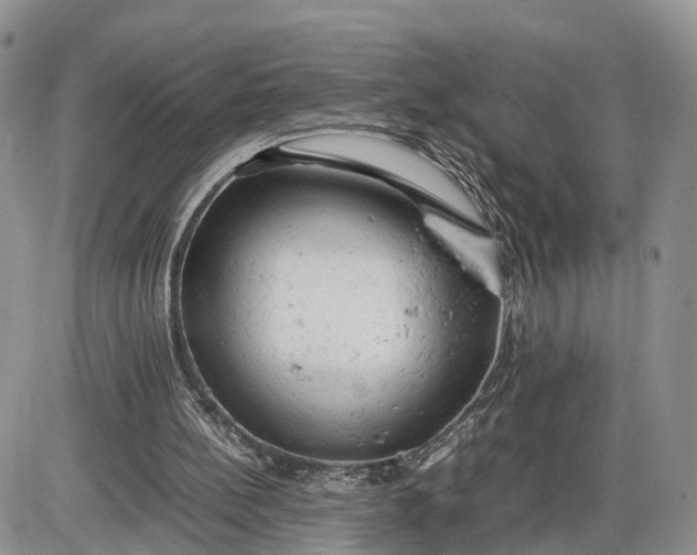 X0000085010148200703191124