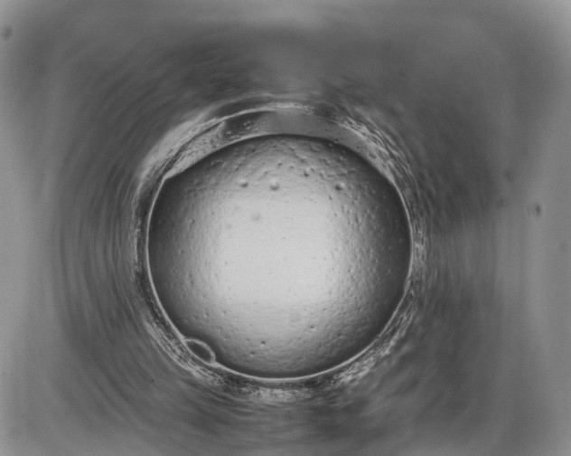 X0000085010149200703191124