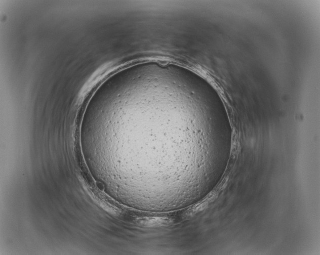 X0000085010151200703191124