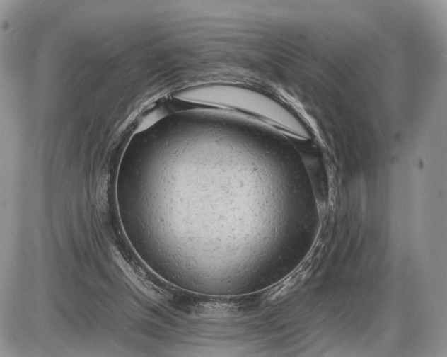 X0000085010154200703191124