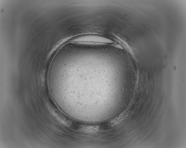 X0000085010155200703191124