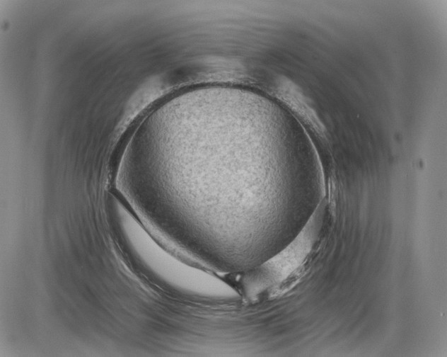 X0000085010156200703191124