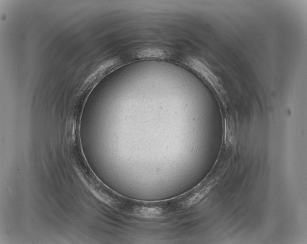 X0000085010157200703191124