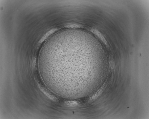 X0000085010159200703191124