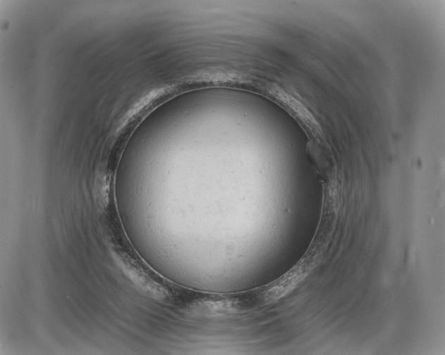 X0000085010160200703191124