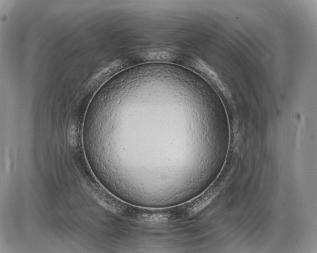 X0000085010161200703191124