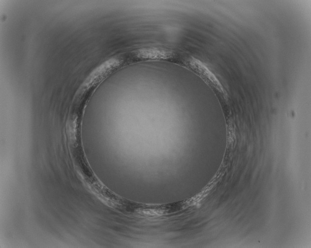 X0000085010163200703191124