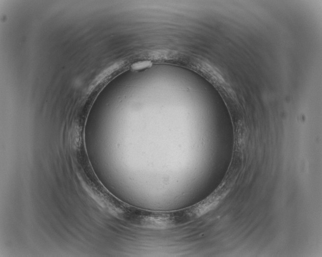 X0000085010164200703191124