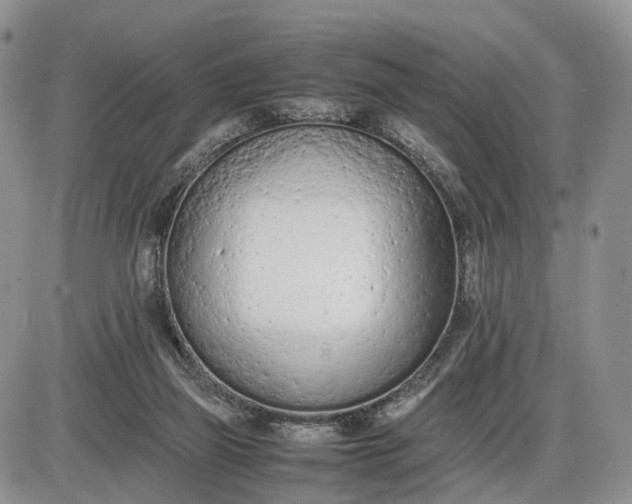 X0000085010165200703191124