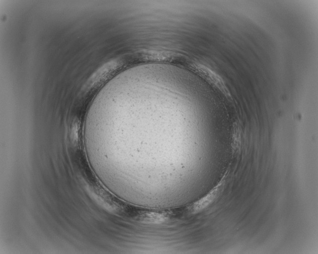 X0000085010166200703191124