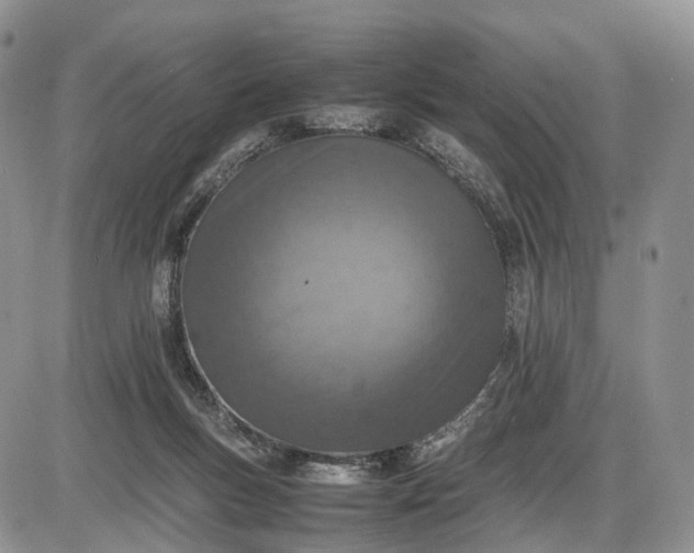 X0000085010167200703191124