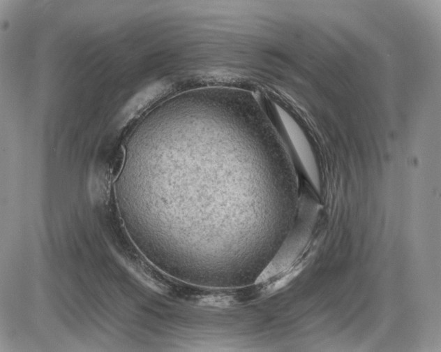 X0000085010168200703191125