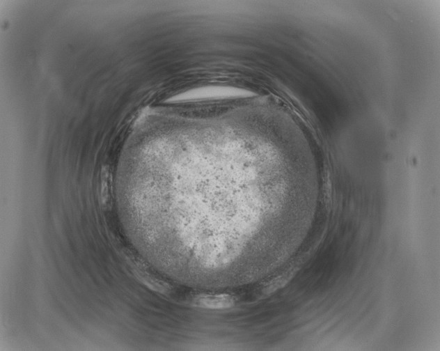 X0000085010169200703191125